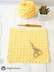 Crochet Lemon Peel Stitch Tutorial with Katie - The Unraveled Mitten