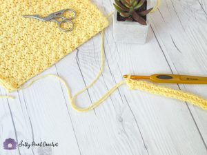 Crochet Lemon Peel Stitch Tutorial with Katie - The Unraveled Mitten