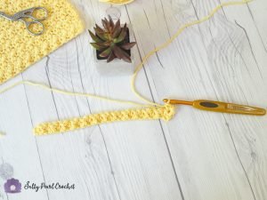 Crochet Lemon Peel Stitch Tutorial with Katie - The Unraveled Mitten