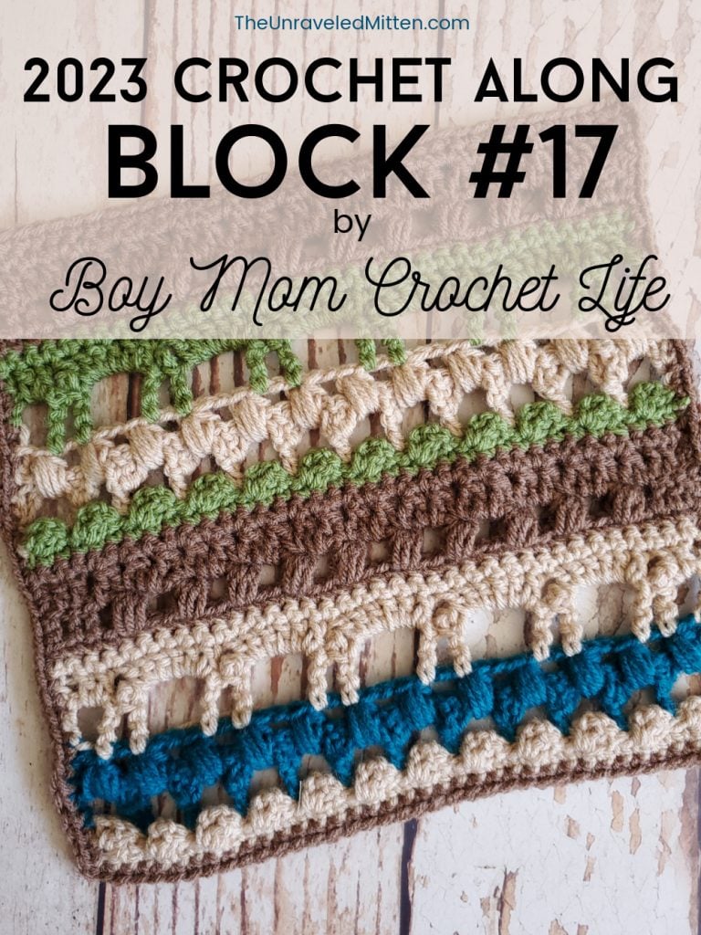 2023 CAL Block #17 by Boy Mom Crochet Life
