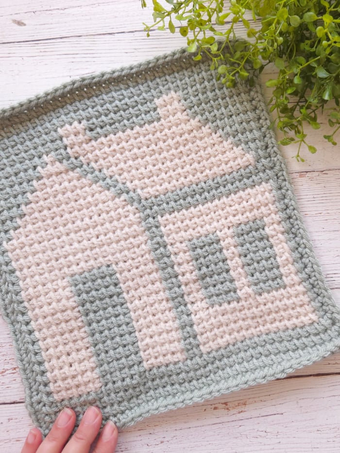 Cozy Cottage Tunisian Crochet Blanket Square