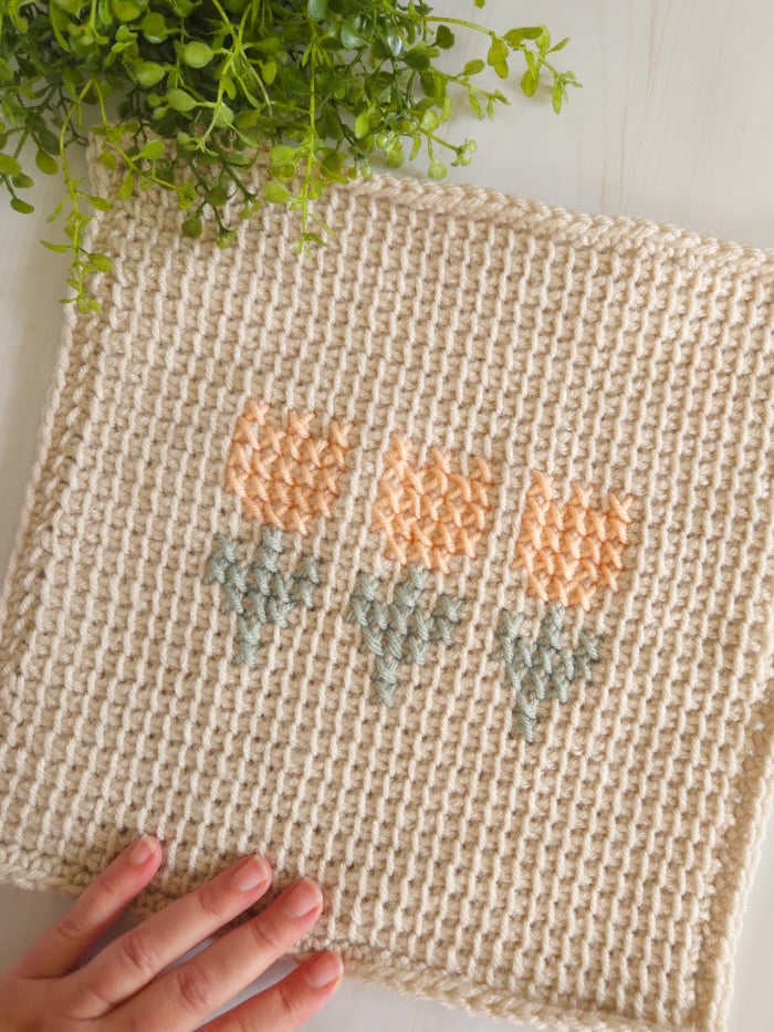 Tutorials Add Printer How to Cross Stitch on Tunisian Crochet - The Unraveled Mitten